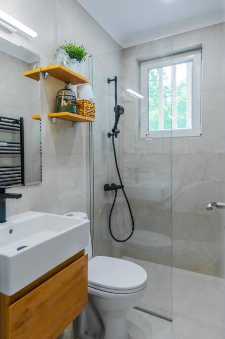 Appartement Lozenets *